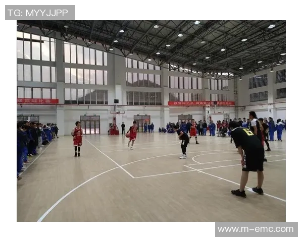 翔蓝篮球:探索青春激情与团队精神的完美结合之旅